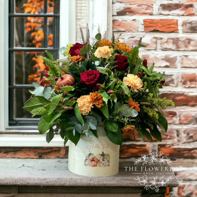 HELLO Fall