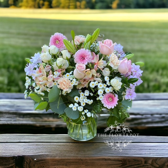 Sweet Beginnings