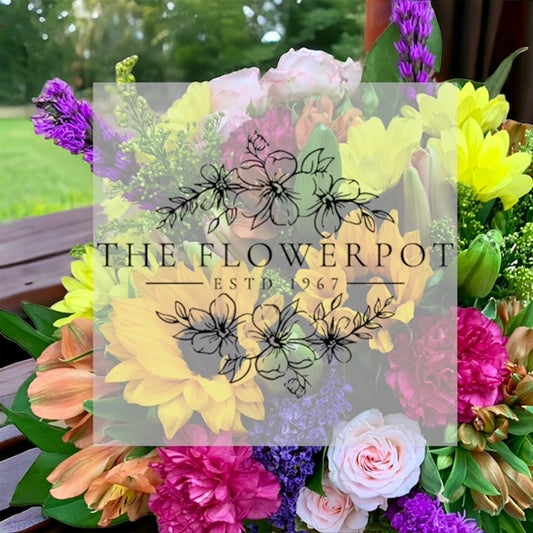 Bright and Cheery Designer's Choice