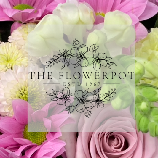 Pretty & Pastels Designer's Choice