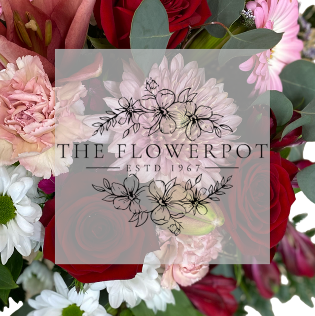 Love and Romance Designer’s Choice