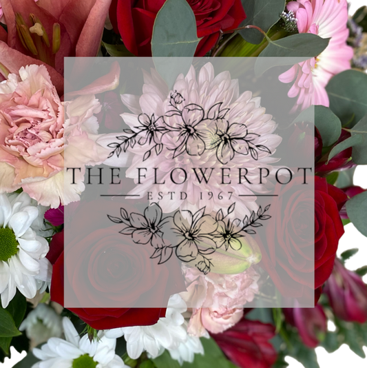 Exquisite Designers Choice