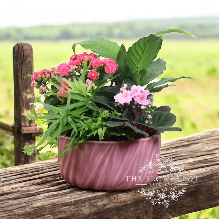 Mother's Day Planter