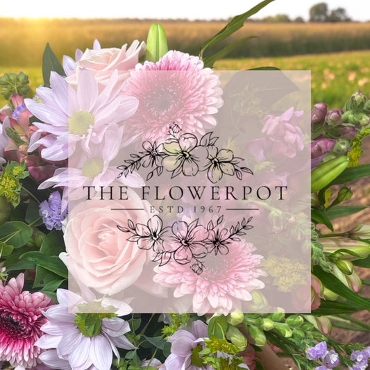 Farm Flower Subscriptions Designers Choice