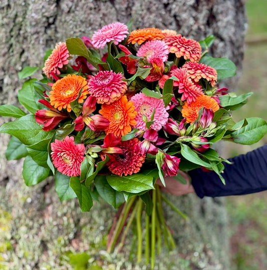 Gerbera Daisy Bouquet
