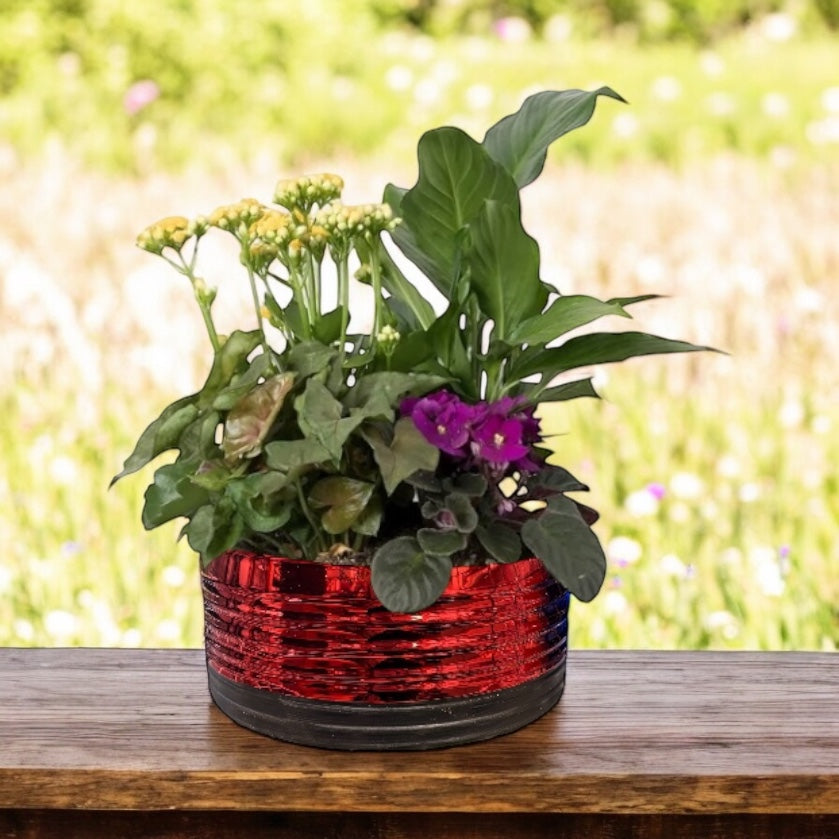 Mixed Planter