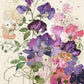 Any Occasion Cards