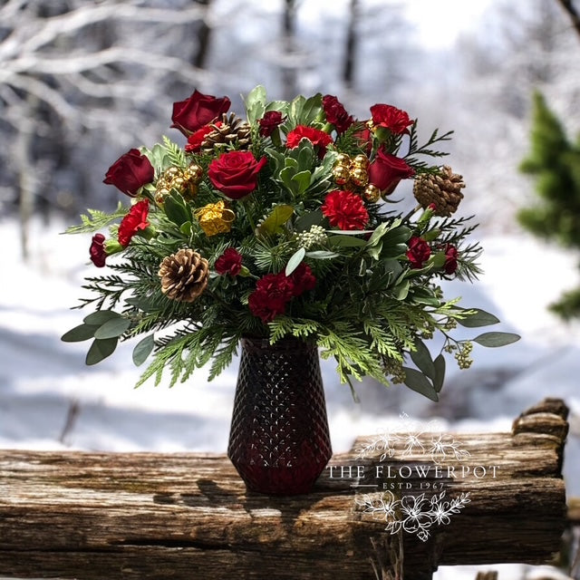 Home for the Holidays