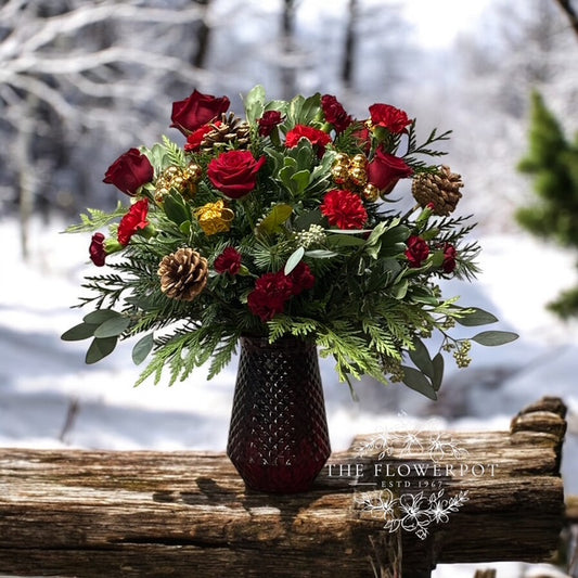 Home for the Holidays