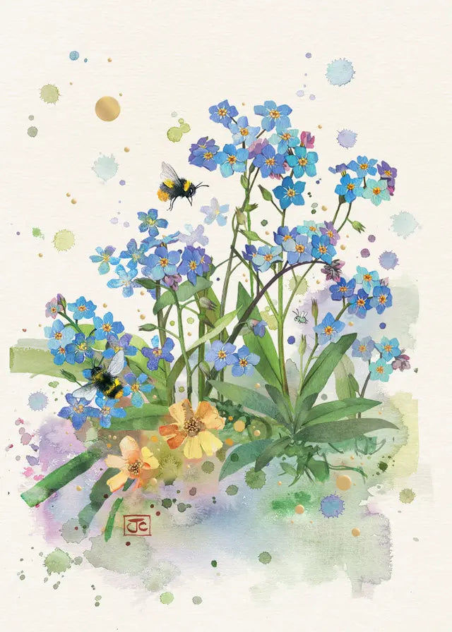 Any Occasion Cards