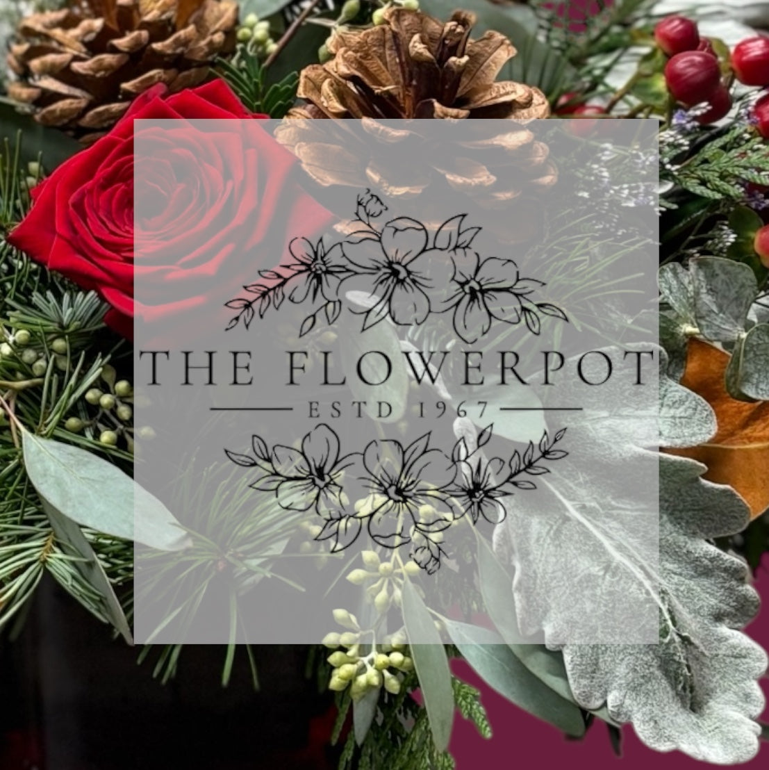 Christmas Designers Choice