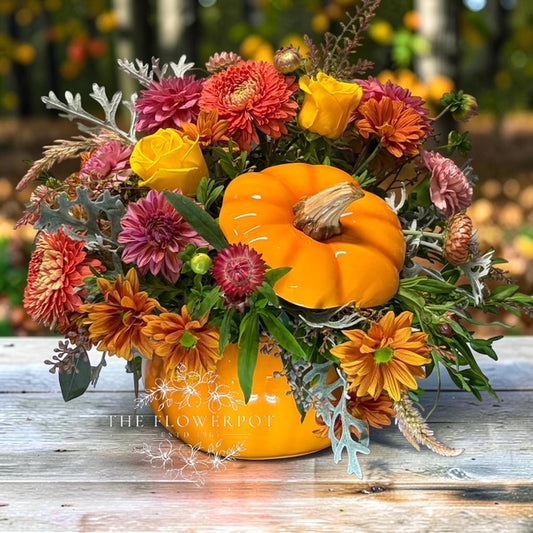 Isn't she Gourd-geous