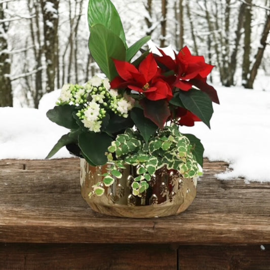 Gold Trees Planter