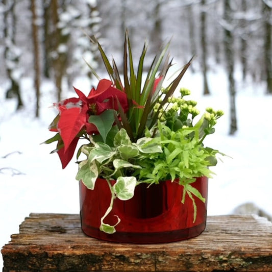 Red Glass Planter